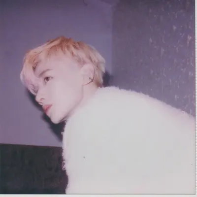 白敬亭 profile