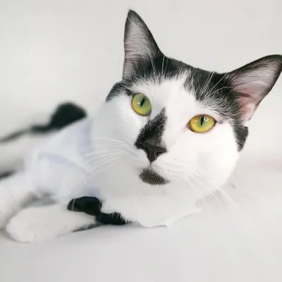 BAILEYS&CO profile