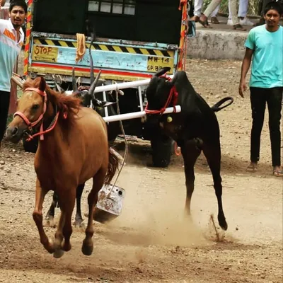 shinde patil profile