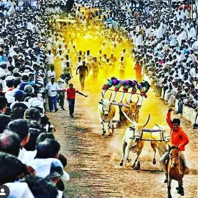 बैलगाडा__शर्यत⚜️ profile