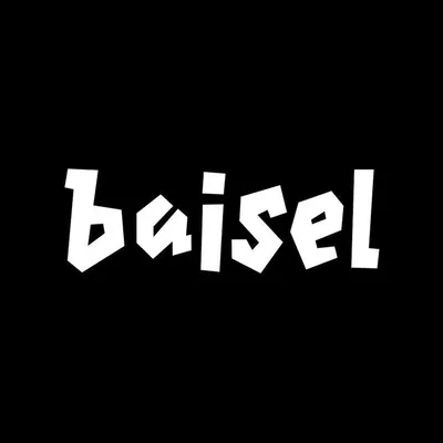 Baisel.pl profile
