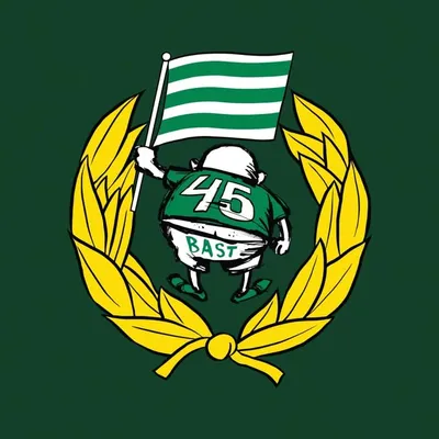 Bajen Fans profile