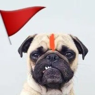Bakchod kutta profile