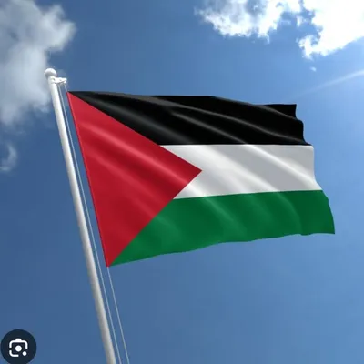 BakingDelightz profile