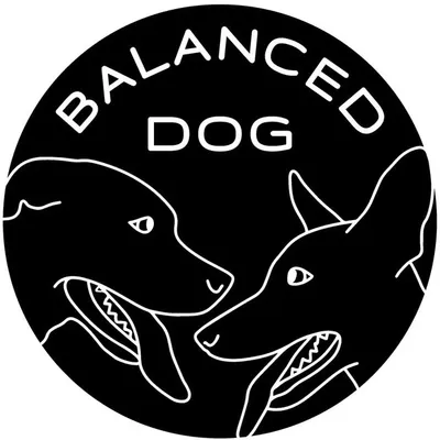 Ben Marsh | Dog Trainer profile