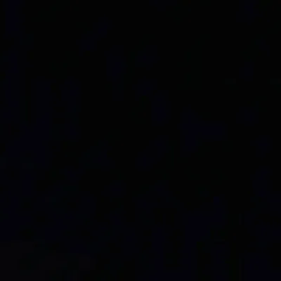 ๐ธ profile