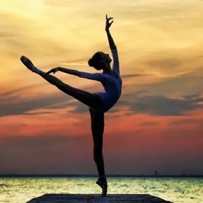 Ballerinas all day Instagram profile photo