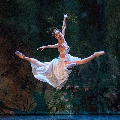 BALLET.ADDICTION❤️ profile