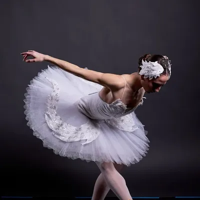 Ballet Tucson profile