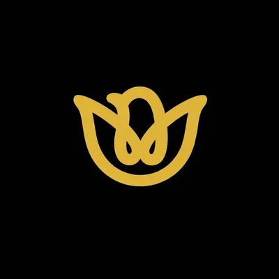 Community Peace Through Sports profile
