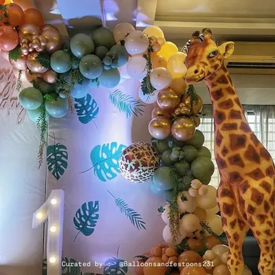 Balloons & Festoons ๐ ๐ profile