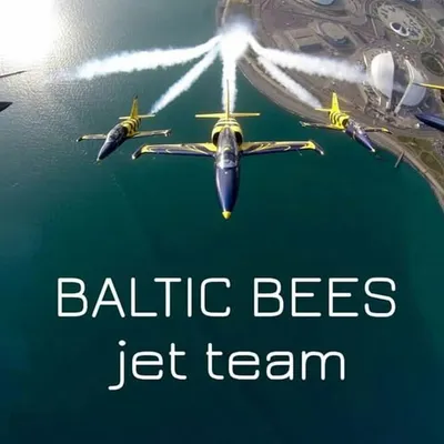 Baltic Bees Jet Team profile