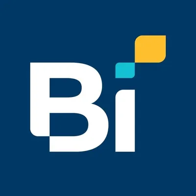 Banco Industrial profile