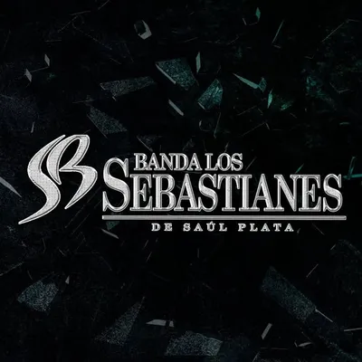 Banda Los Sebastianes profile