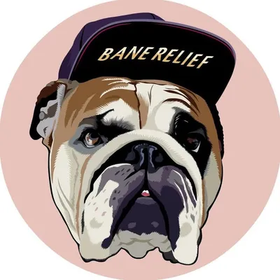 I AM BANE profile