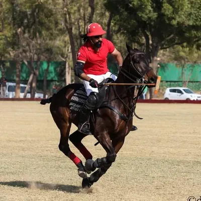 Tejveer Singh Jhadol profile