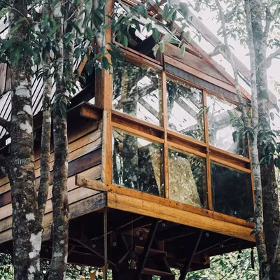 บ้านในหมง Treehouse & Hot Spring profile