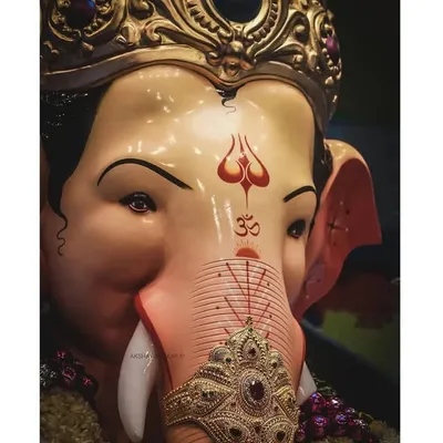 Ganpati Bappa © || India 🇮🇳 || profile