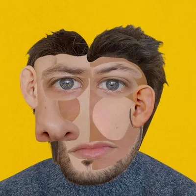 Baptiste Picq profile