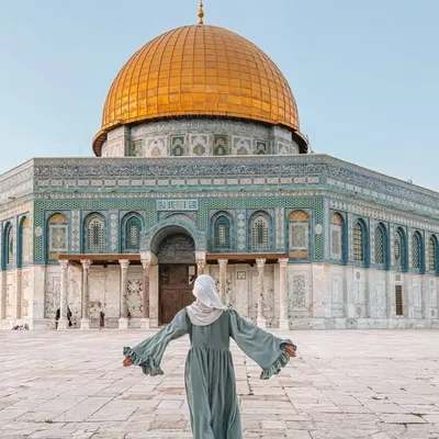 ʙᴀʀᴀᴀ ꜱɪɴᴏᴋʀᴏᴛ📸|| ﮼بَراءَةسُنُقْرُط✨ profile