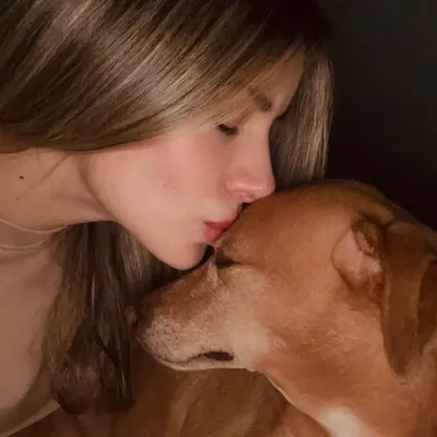 profile
