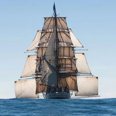 Bark EUROPA profile