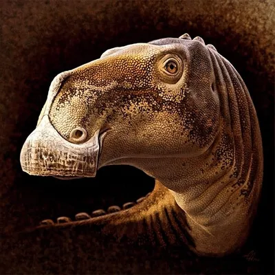 Art and dinosaurs profile