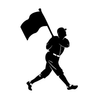 Baseballism profile