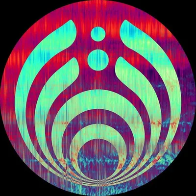 Bass Network profile