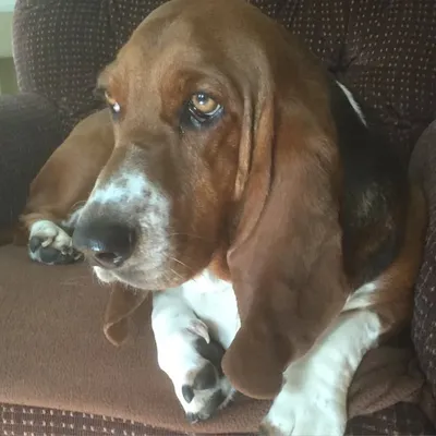 Miss Lilly profile