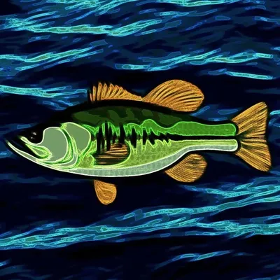 Bass Wave profile
