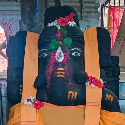 Bastar Bhushan profile