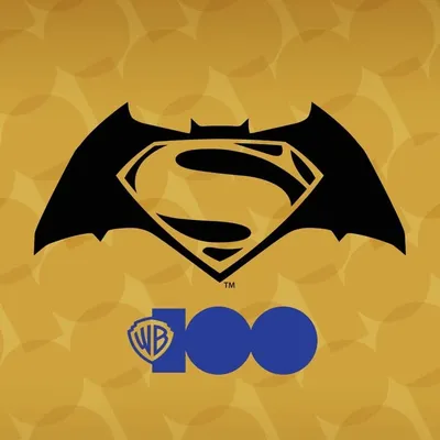 Batman v Superman profile
