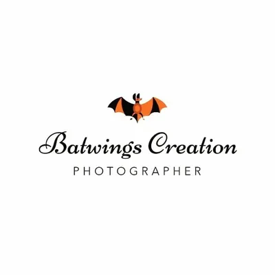 BATWINGS Creation profile
