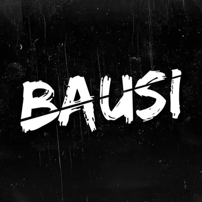 BAUSI profile