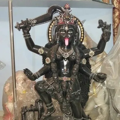 Bavishi Mataji Mandira profile