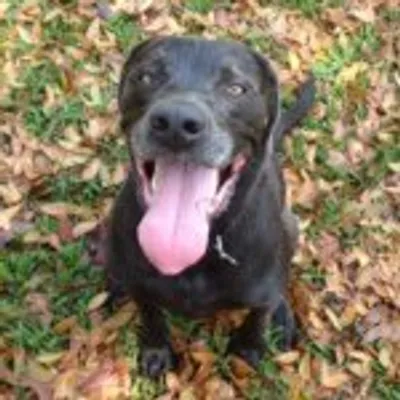 BaxBaxter® profile