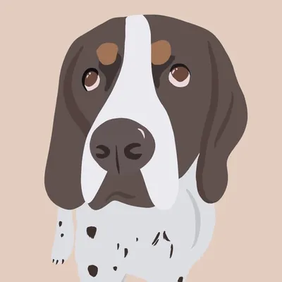 Baxter profile