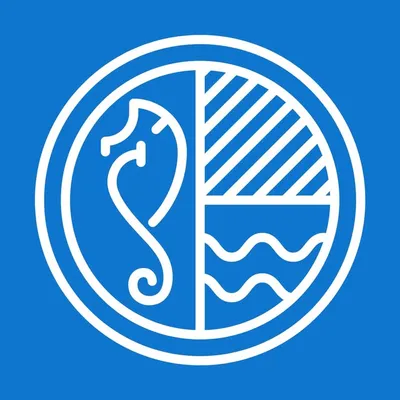Bazaar Tribe profile
