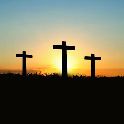 Faith Builder Daily profile