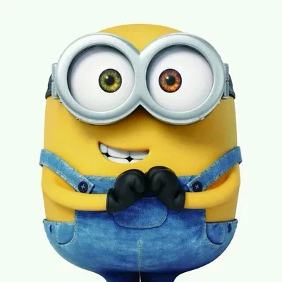 MINION LOVER profile