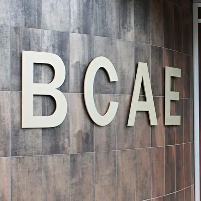 BCAE profile