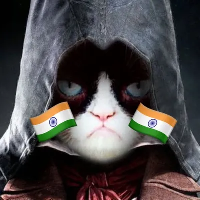 Bakchod Billi