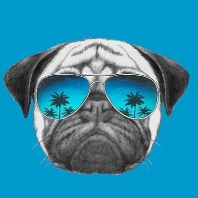 Bakchod Kutta profile