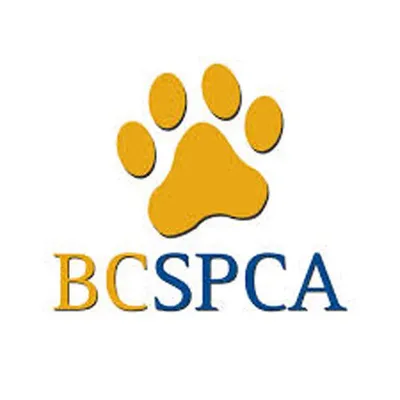 BC SPCA profile