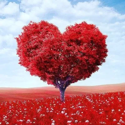 Romantic | songs | music 🎶 profile