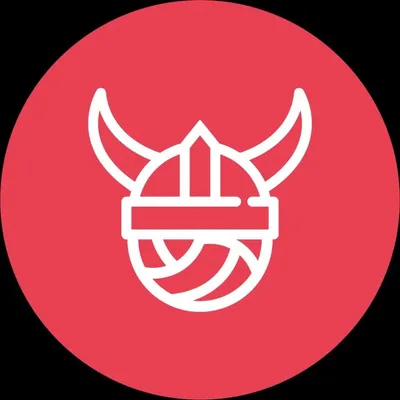Beachvolley Vikings profile