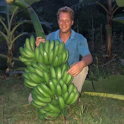 Bryan Beachy profile