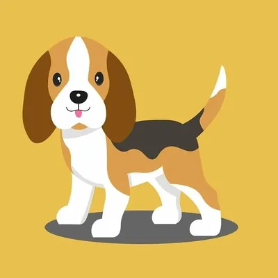 Beagle Care profile