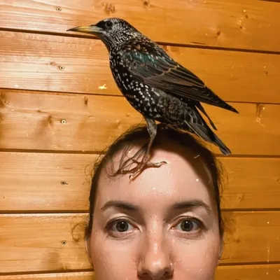 Bea Kónya 🕊 profile